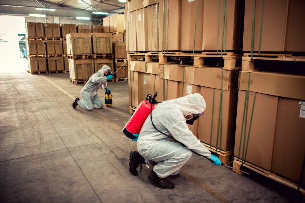Best Termite Control Services  in Stanley, ND