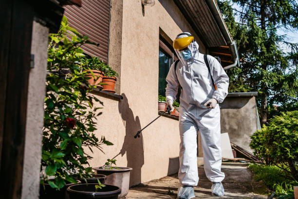 Best Flea Control Services  in Stanley, ND
