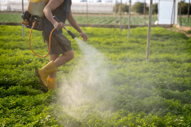 Best Best Pest Control Companies  in Stanley, ND