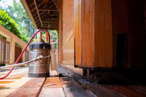 Best Local Pest Control Services  in Stanley, ND