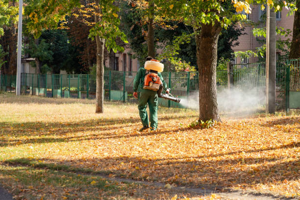 Best Pest Removal Services  in Stanley, ND